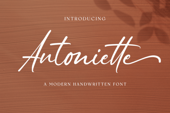 Antoniette Font Review: A Charming Script for Branding