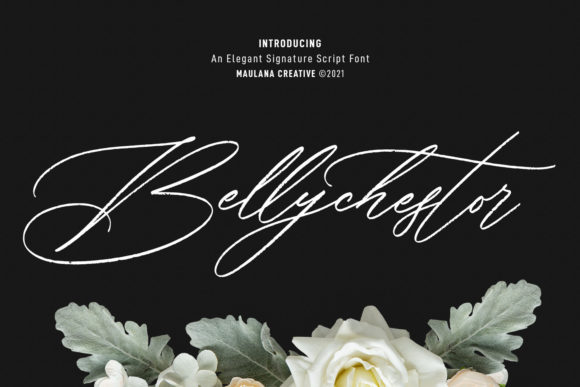 Bellychestor Script Font for Web Design