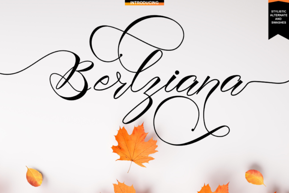 Berlziana: A Script Font for Modern Branding