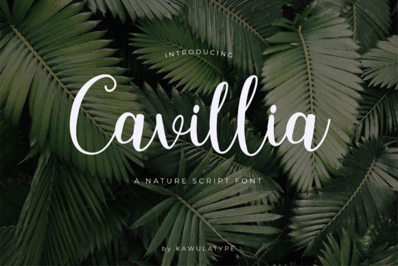 Choosing Cavillia for a Modern Web Design Project