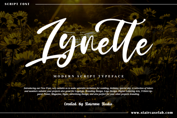 Choosing Lynette for a Polished Web Design