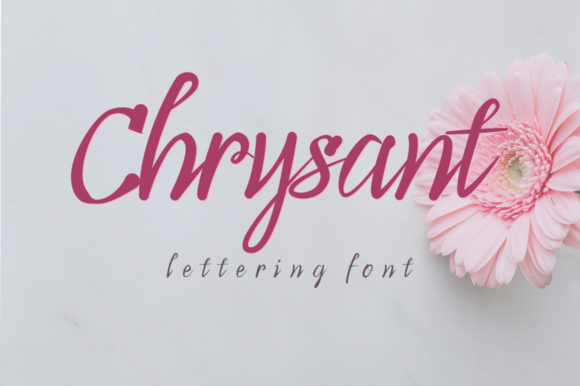 Chrysant: A Flowing Script Font for Editorial Design